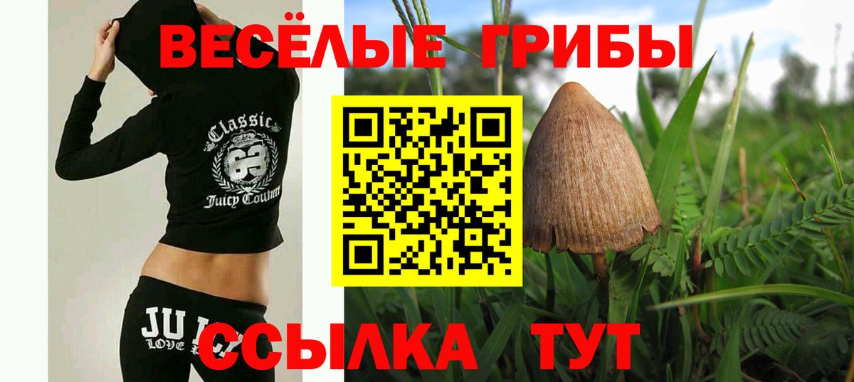 Галлюциногенные грибы GOLDEN TEACHER Лесной