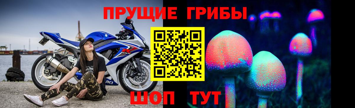 Галлюциногенные грибы MAGIC MUSHROOMS  где найти   Вход с VPN  Лесной  Галлюциногенные грибы Magic Shrooms 